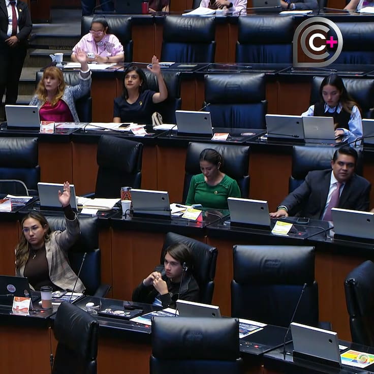 Congreso aprueba licencia a 10 legisladores de Morena y PVEM que buscarán gubernaturas en 2027; ¿Quiénes son?