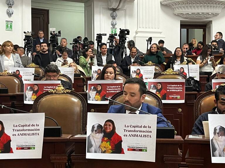 Entre gritos y enfrentamientos al exterior, el Congreso de la Ciudad de México aprobó las corridas de toros sin violencia.