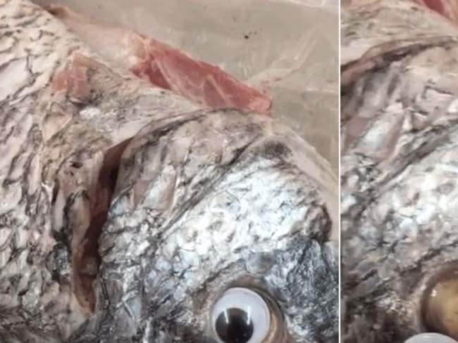 Utilizaban ojos falsos para ocultar el mal estado del pescado
