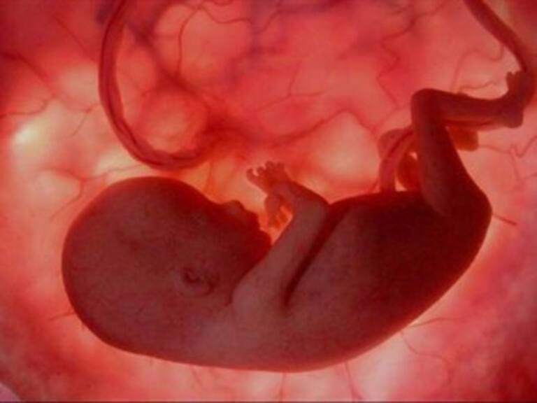 Aprueba España reforma restrictiva de la Ley de Aborto