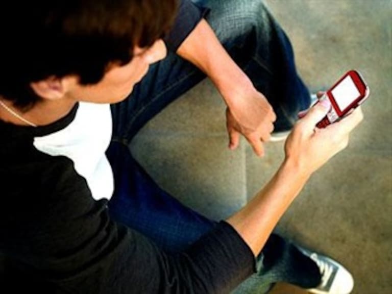 1 de cada 3 usuarios no se ha dado de alta en el Renaut