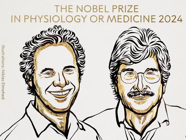 El Premio Nobel de Medicina y Fisiología 2024 es para Victor Ambros y Gary Ruvkun