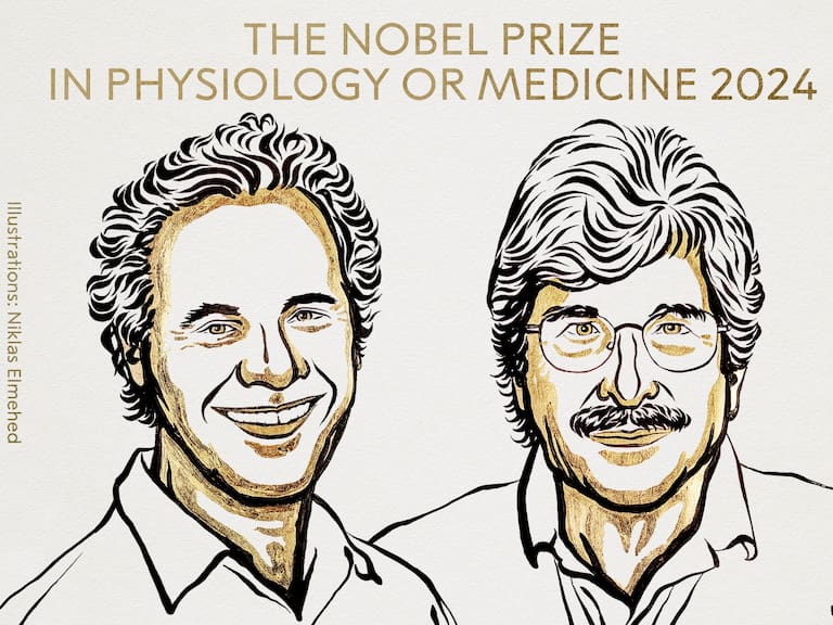Victor Ambros y Gary Ruvkun, son los científicos galardonados con el Premio Nobel de Medicina y Fisiología 2024