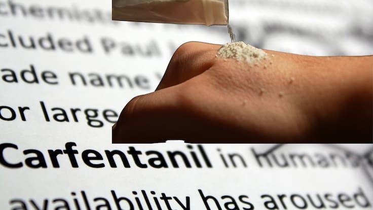Carfentanilo: el opioide que puede ser 100 veces más potente que el fentanilo