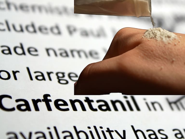 Esto se sabe del carfentanilo, el opioide sintético que ha reaparecido en el mercado ilegal y genera preocupación sanitaria. Getty Images