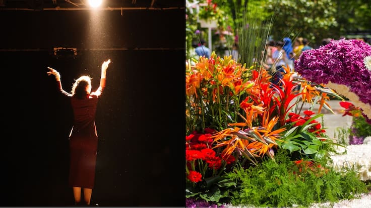 Imperdibles de la Semana | Los eventos que no te puedes perder en la CDMX este fin de semana