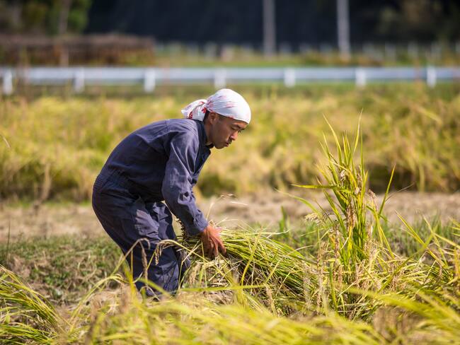 Los conflictos se intensifican, Estados Unidos acusa a China de ‘agroterrorismo’ pero, ¿qué significa?