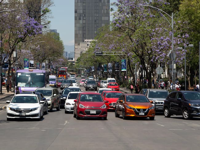 Hoy No Circula: CDMX y Edomex, viernes 21 de febrero 2025