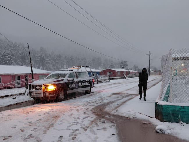 Tormenta Invernal: Se registra caída de nieve en comunidades serranas de Durango, autoridades piden precaución por hielo negro