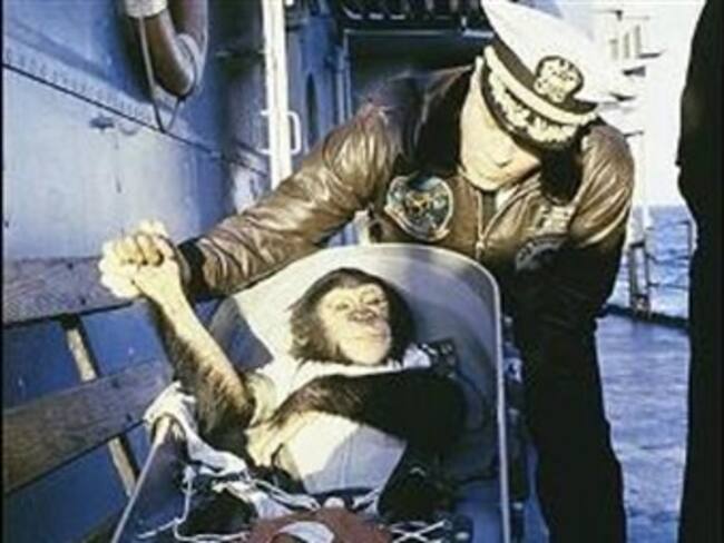 Recordando a 'Ham' el chimpance. 'La Reata' del jueves 31 de enero