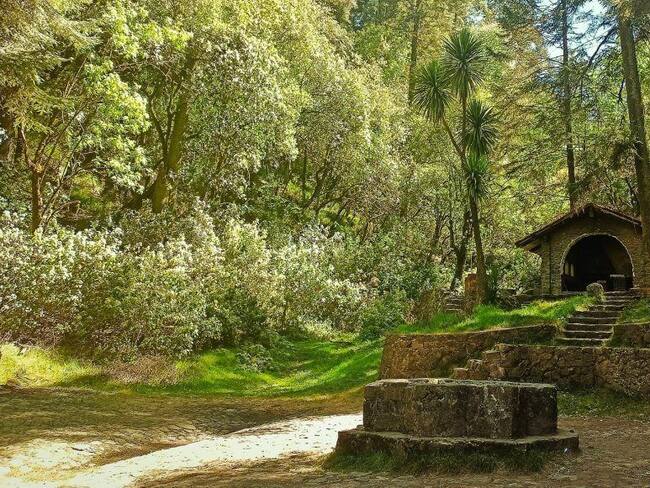 CUAJIMALPA: ¿Qué hacer en el desierto de los leones, el parque más antiguo de la CDMX?