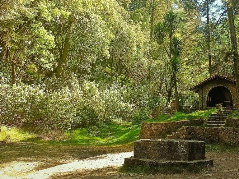 Desierto de los leones