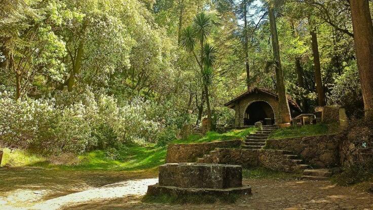 CUAJIMALPA: ¿Qué hacer en el desierto de los leones, el parque más antiguo de la CDMX?