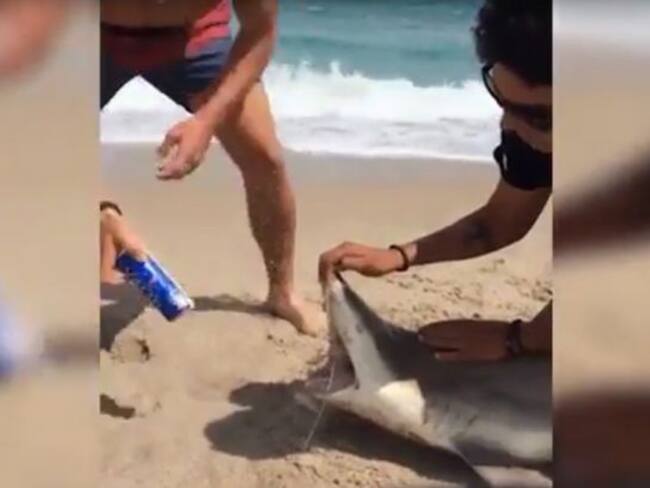 Spring breakers usan a tiburón para abrir lata de cerveza