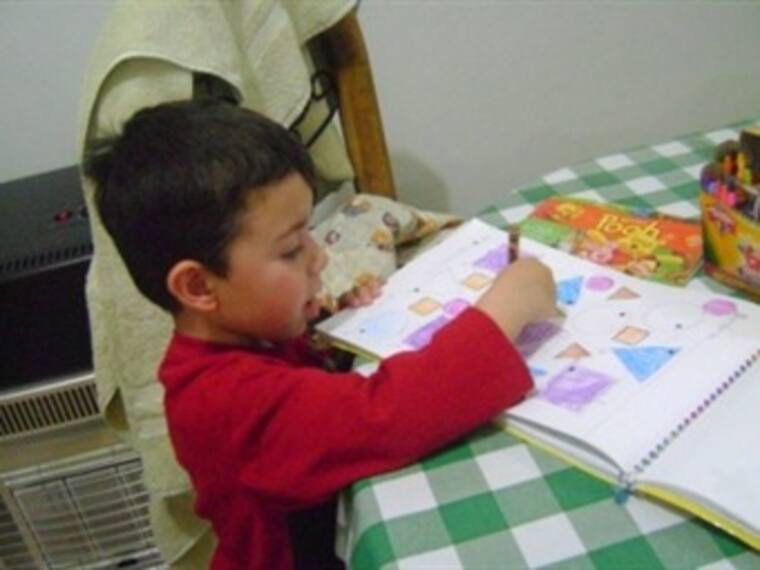 Reduciendo tarea se combate obesidad y bajo nivel educativo: ALDF