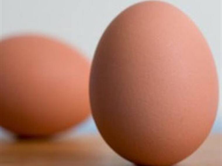 Mitos sobre el consumo de huevo. Eric Estrada, experto en herbolaria