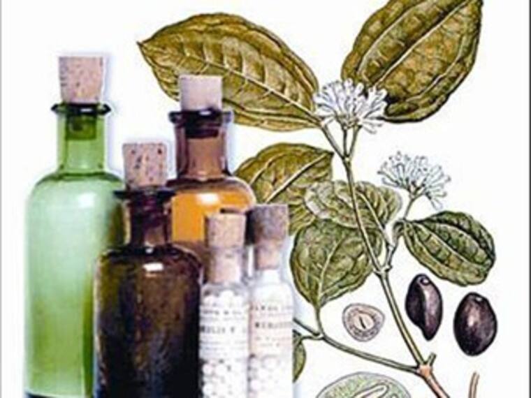 ¿Qué es la Ecología Emocional?