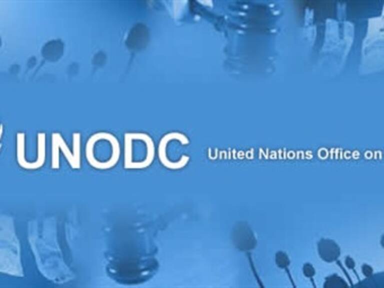 Destaca ONU fuerza del gobierno mexicano en lucha contra cárteles