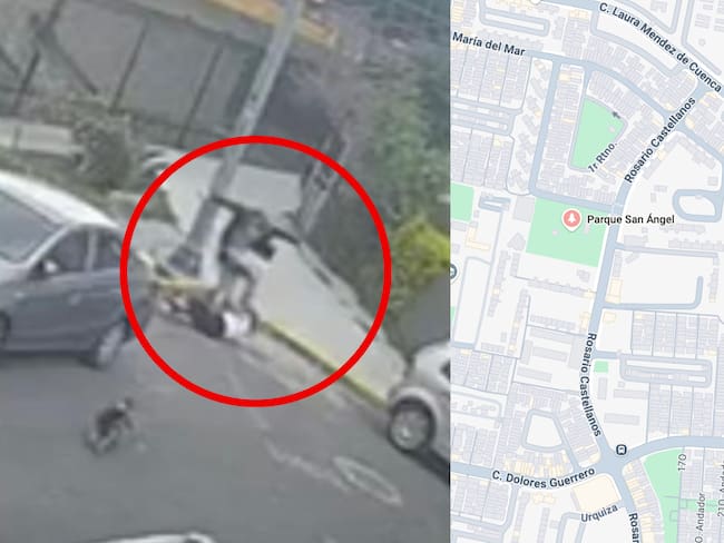 Atacan a mujer que paseaba a sus perros en Coyoacán: la patearon en la cabeza| VIDEO