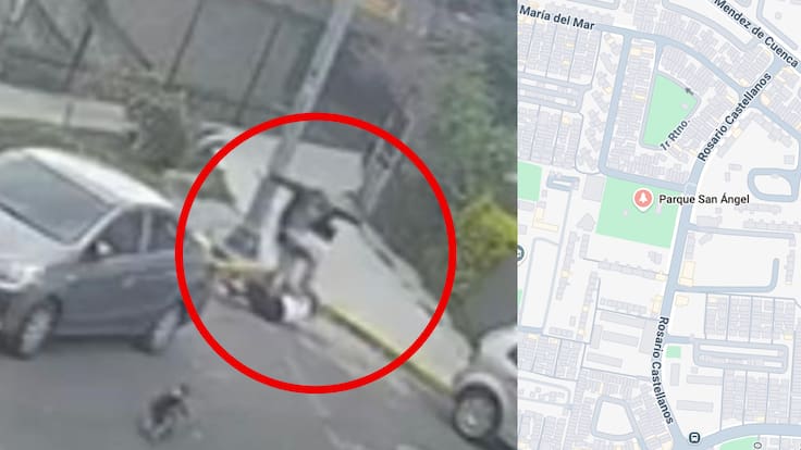 Atacan a mujer que paseaba a sus perros en Coyoacán: la patearon en la cabeza| VIDEO