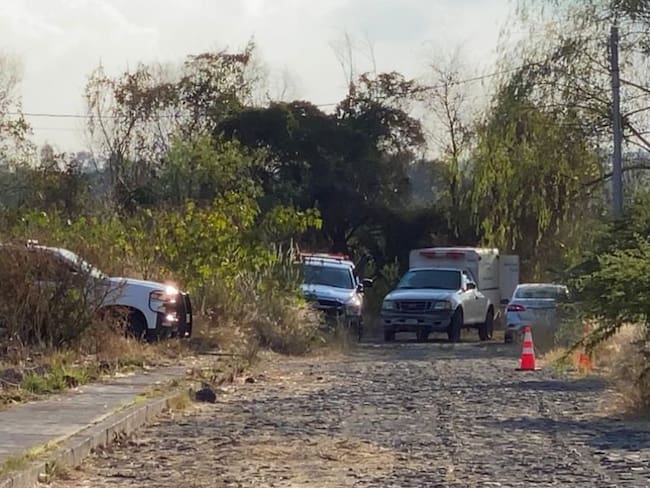 Hallan 59 cuerpos en fosas clandestinas al sur de Guanajuato