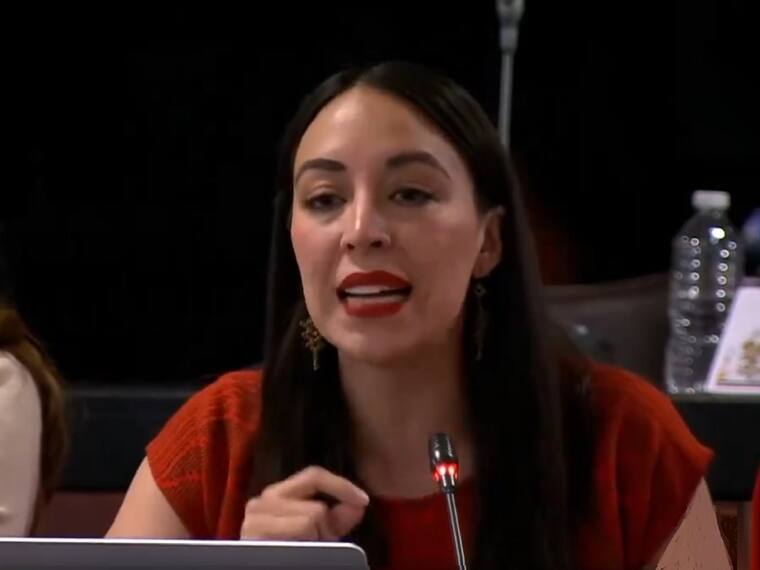 ¿Qué buscan para elegir al comité que elegirá jueces?