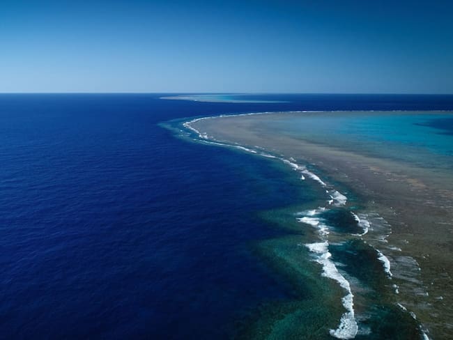 Descubren arrecife de coral de 500 metros de alto en Australia
