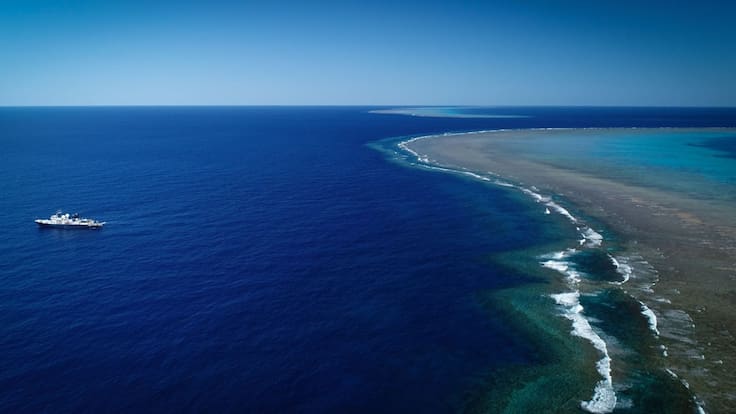 Descubren arrecife de coral de 500 metros de alto en Australia