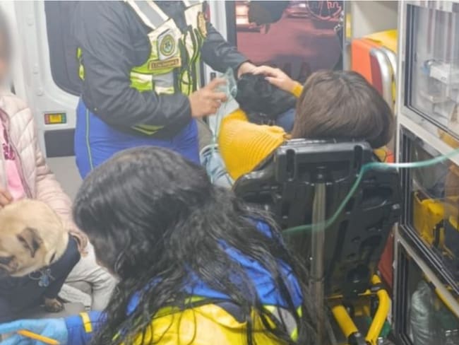 Perritos y familia resultan intoxicados por fuga de gas natural en la Cuauhtémoc