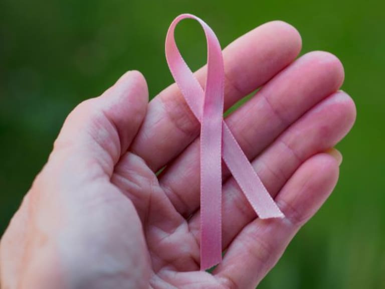 ¿Ayuda la alimentación a combatir el cáncer de mama?