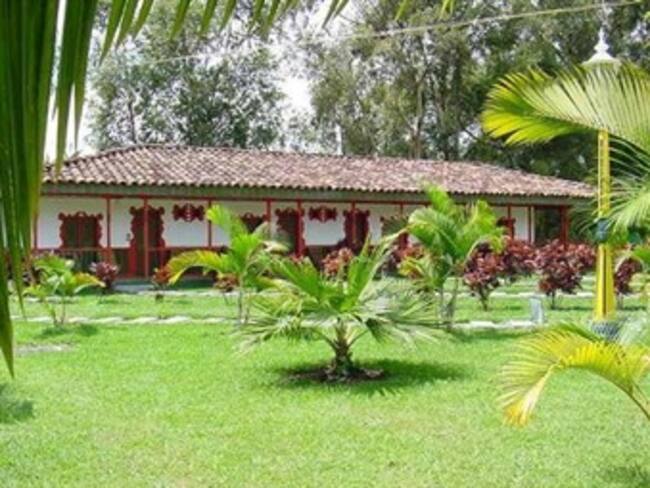 La industria del café y su impacto en el turismo.' Pasaporte W', con Michelle Fridman