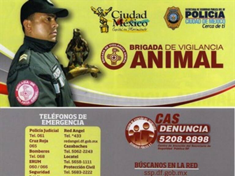 Habrá coordinación de SSPDF contra maltrato animal