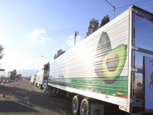 Jalisco busca romper récord Guinness de guacamole