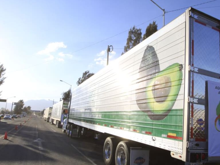 Jalisco busca romper récord Guinness de guacamole