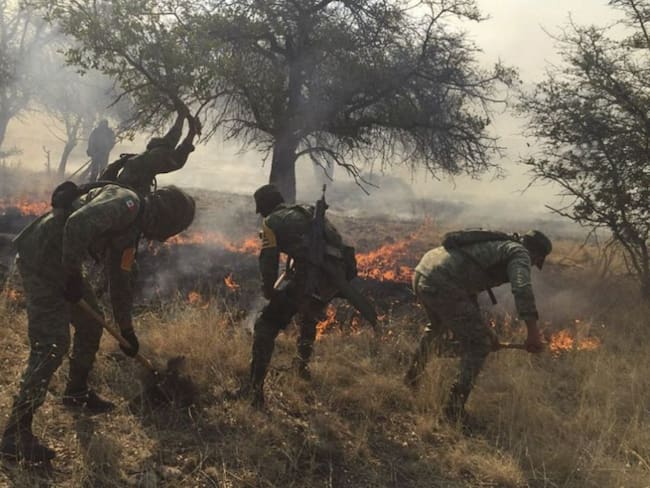 Reportan 27 incendios forestales en Chihuahua