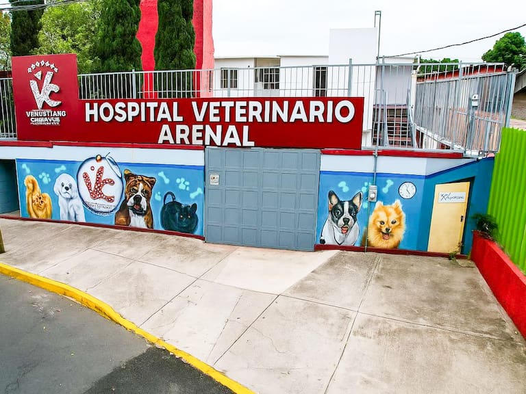 Hospital Veterinario Animal