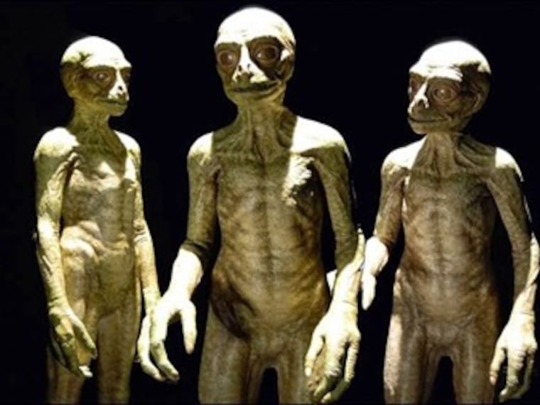 ¿Existen los reptilianos?