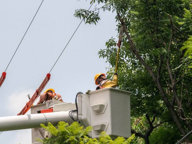 Restablece CFE la electricidad a los casi 433 mil afectados por el huracán “Beryl”