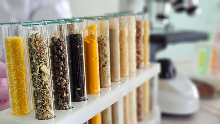 Del espacio al plato: China consigue la primera cosecha de arroz nacida de semillas espaciales