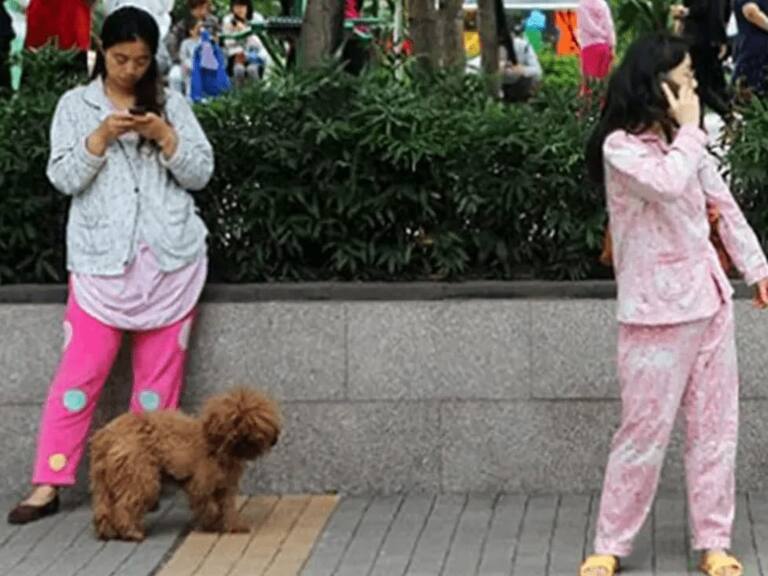 El Pijamaton 2025 hoy en CDMX