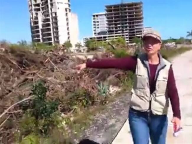 Denuncian a grupos ambientalistas de pactar con el gobierno por caso #ManglarTajamar