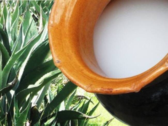 ¿Sabes cómo se hace el pulque?