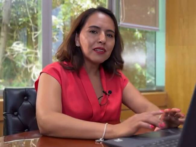 Resultados de la elección del Poder Judicial no serán inmediatos: Erika Estrada