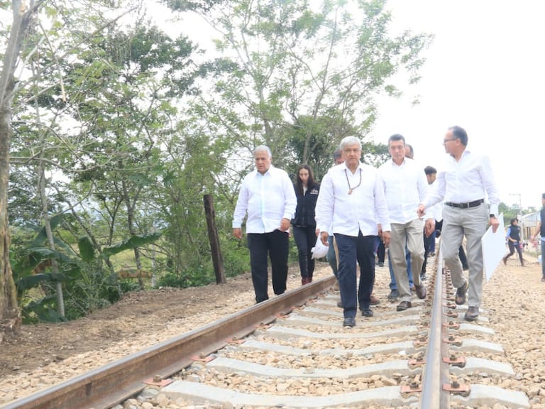 Tren Maya debe suspenderse hasta conocer impacto ambiental : IMCO