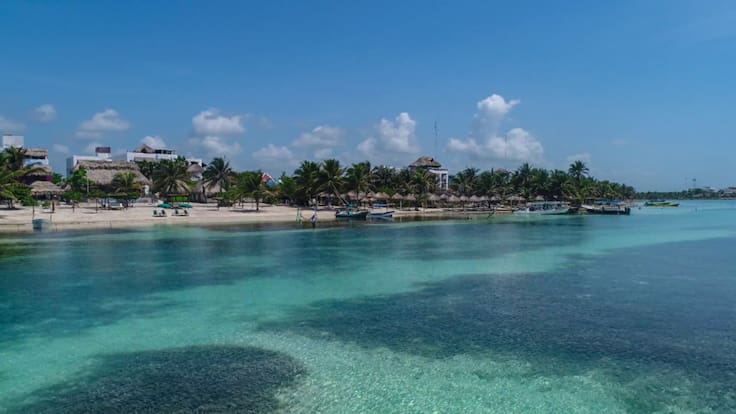 Acusan que parque ‘Perfect Day’ y su megaproyecto dañaría el ecosistema de Mahahual