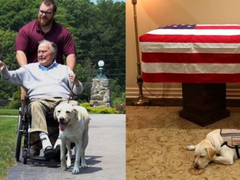[Video] El perro Sully de George H. W. Bush lo acompaña hasta su último momento