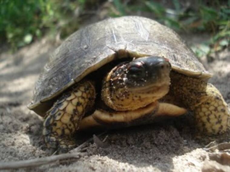 Regalos con causa.Margarita Campuzano,directora de comunicación del centro mexicano