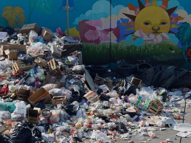 Diputado de Morena propone trabajo comunitario obligatorio para la gente que sea sorprendida tirando basura