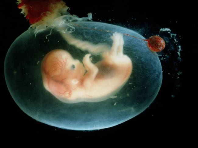 Una mujer da a luz a un bebé cuyo embrión se congeló hace 25 años