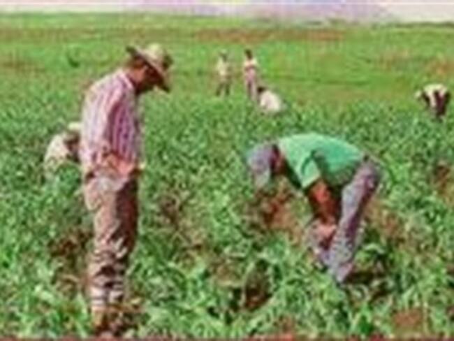 Distribuye Banco Mundial ayuda por 60.5 mdd para campo mexicano